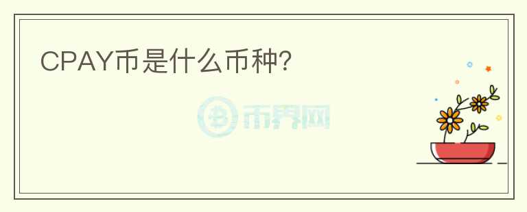 CPAY幣是什么幣種？