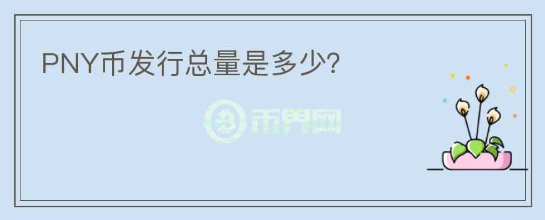 PNY幣發(fā)行總量是多少？